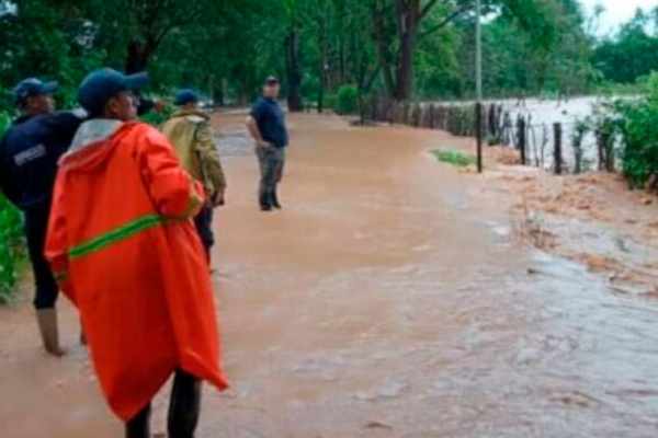 Empresarios alertan sobre daños en fincas y ganado ahogado tras las lluvias en Los Llanos