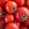 México seguirá exportando tomate a EEUU pese al arancel porque no hay «sustituto»