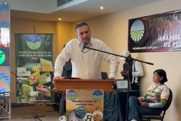 Fedeagro advierte que lluvias afectaron el 5% de la siembra de maíz: «la cifra puede incrementar»