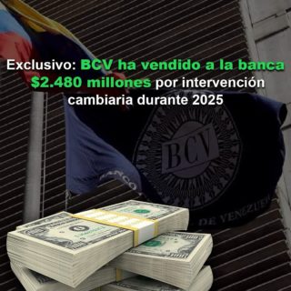 #Exclusivo: BCV ha vendido a la banca US$2.480 millones por intervención cambiaria durante 2025