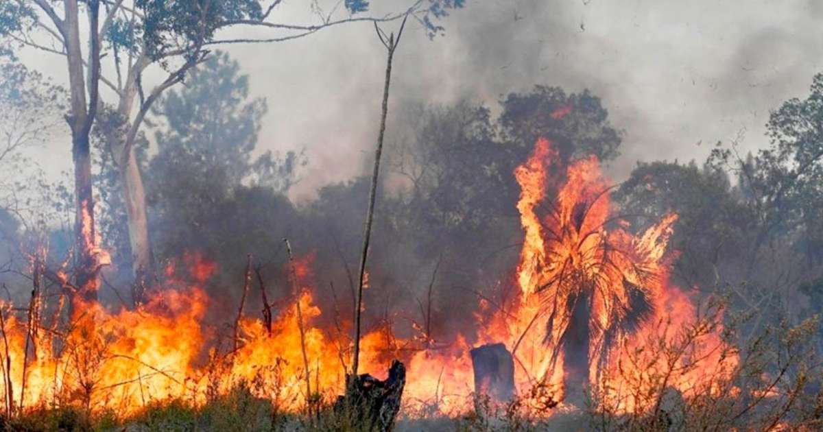 Incendios forestales obligan a evacuar a m&aacute;s de 50.000 personas en Chile