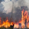 España arde por incendios forestales y mantiene estado de alerta por ola de calor