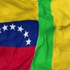 Venezuela y Mali profundizan la cooperación bilateral en materia de seguridad