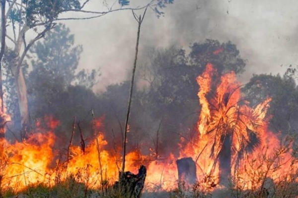 España arde por incendios forestales y mantiene estado de alerta por ola de calor