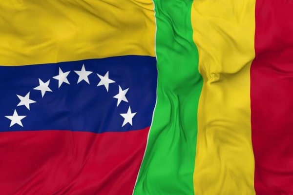 Venezuela y Mali profundizan la cooperación bilateral en materia de seguridad