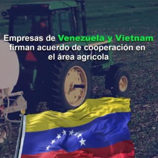 Iniciará en 2026: Empresas de Venezuela y Vietnam firman acuerdo de cooperación en el área agrícola