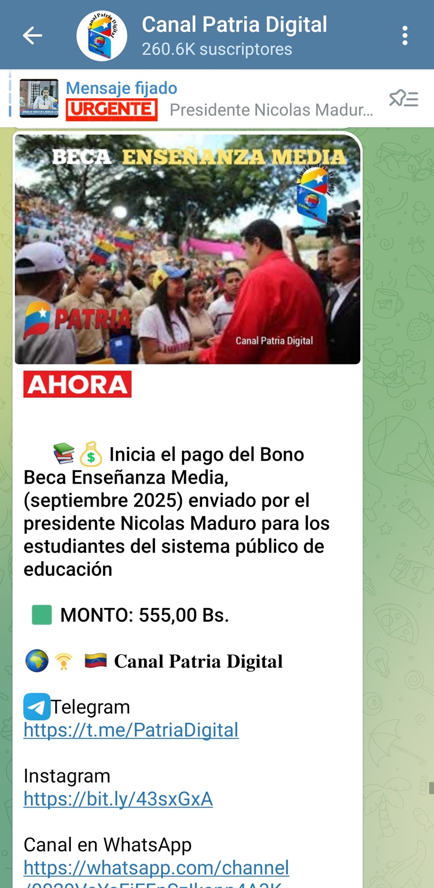 Pagan bono «Beca Enseñanza Media» y estipendio «Promotoras Parto Humanizado» de septiembre (+montos)
