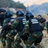 FANB ha decomisado más de 1.700 kilos de droga y detenido a 984 narcotraficantes este año