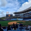 Abonos de Leones del Caracas para la temporada 25-26 de la LVBP supera los US$ 2.000