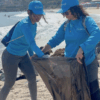 Bancaribe mantiene su compromiso con el ambiente y las comunidades en el Día Mundial de las Playas