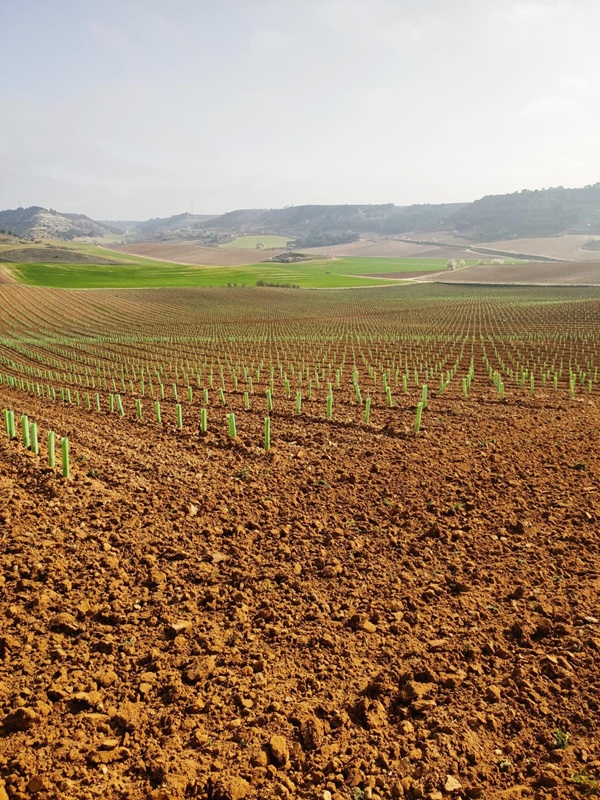 El arte de conectar la tierra con la marca: el Modelo CPM
