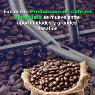 #Exclusivo: Producción de café en Venezuela se mueve entre oportunidades y grandes desafíos