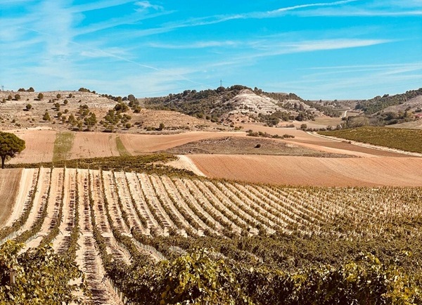 El arte de conectar la tierra con la marca: el Modelo CPM