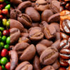 #Exclusivo: Producción de café en Venezuela se mueve entre oportunidades y grandes desafíos