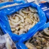 Venezuela y Catar definirán hoja de ruta que promueva la comercialización de productos pesqueros