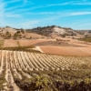 El arte de conectar la tierra con la marca: el Modelo CPM