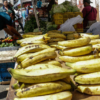 Gremio estima que en Venezuela se consumen 180 mil toneladas de plátano por mes