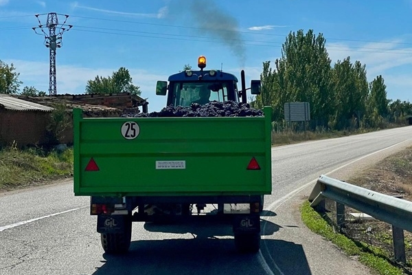 #Opinión: Volver al origen