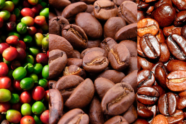 #Exclusivo: Producción de café en Venezuela se mueve entre oportunidades y grandes desafíos