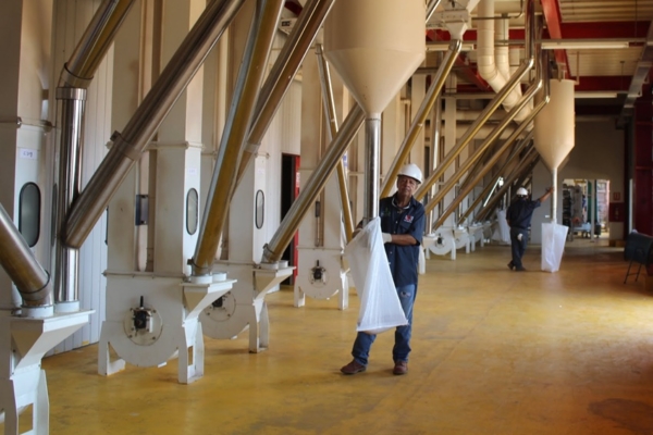 Reactivan Complejo Agroindustrial en Guárico: El proyecto contempla modernización de la maquinaria