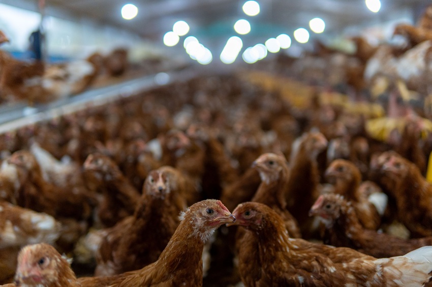 JHS Agroindustria celebra 13 años produciendo sabor que construye país