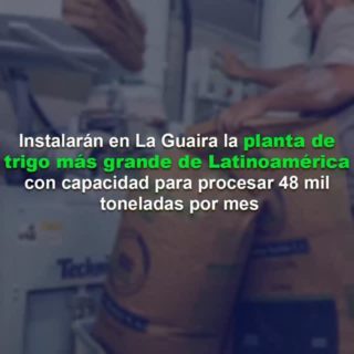 Procesará 48.000 toneladas mensuales: Instalarán en La Guaira la planta de trigo «más grande de Latinoamérica»