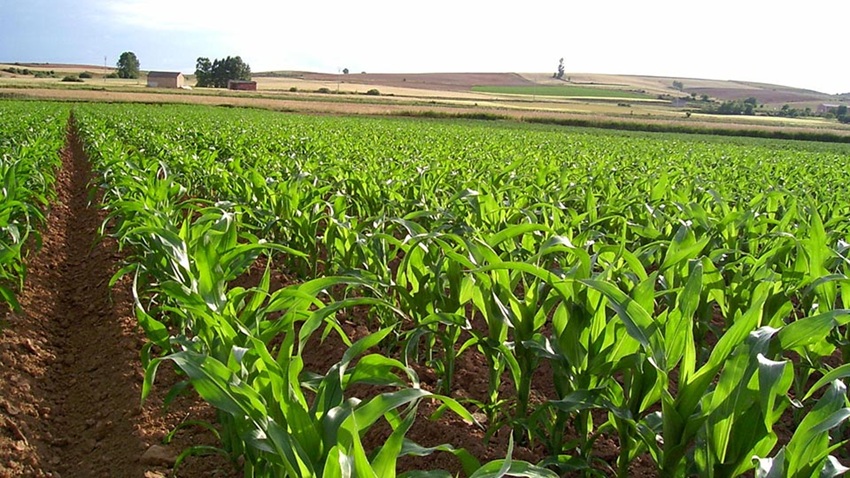 Venezuela: El despertar de una econom&iacute;a diversificada basada en turismo, aprovechamiento racional de recursos y productividad