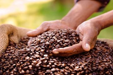 La producci&oacute;n de Caf&eacute; en Colombia cay&oacute; 33,5 % en el primer trimestre de 2026