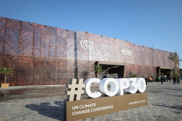 Venezuela presentará en la COP30 avances en reforestación y esfuerzos en cuenca amazónica