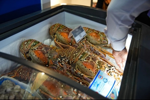 Mostrando las potencialidades de más de 70 empresas: Venezuela participa en la FIHAV 2025