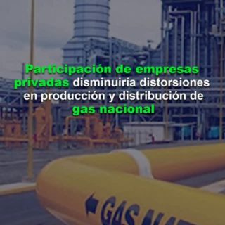 Participación de empresas privadas disminuiría distorsiones en producción y distribución de gas nacional, afirma experto