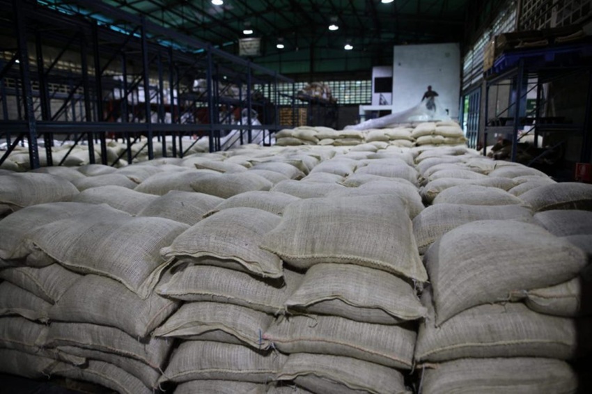 El sexto env&iacute;o: Venezuela export&oacute; 200 toneladas de cacao a Rusia