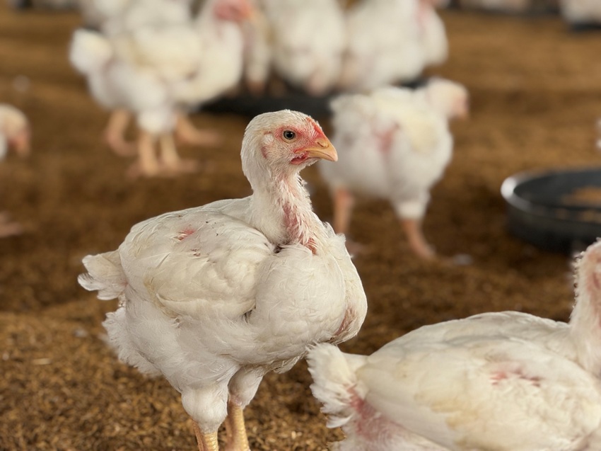 JHS Agroindustria cierra un 2025 de autonom&iacute;a productiva y proyecta un 2026 de expansi&oacute;n industrial