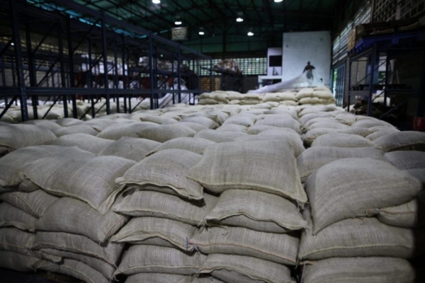 El sexto env&iacute;o: Venezuela export&oacute; 200 toneladas de cacao a Rusia