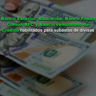 Cuatro bancos más fueron habilitados para participar en el sistema de subasta de divisas