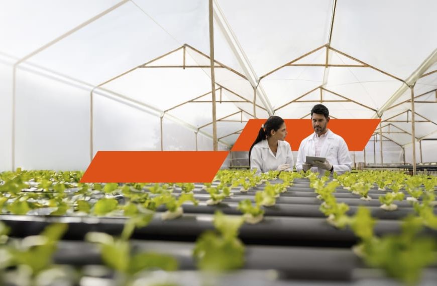 Encuesta PwC: El 30% de los CEO globales y venezolanos conf&iacute;an en un crecimiento de los ingresos para 2026