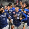 Navegantes del Magallanes y Caribes de Anzo&aacute;tegui van ahora por el campeonato de la LVBP