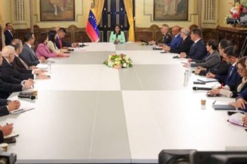 Presidenta (e) pide unidad nacional ante &laquo;momentos muy delicados para la estabilidad pol&iacute;tica&raquo;