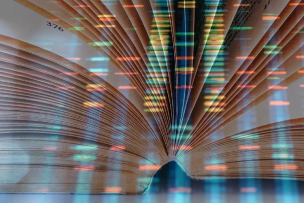 AlphaGenome de Google, un avance crucial para enfrentar enfermedades de alta complejidad