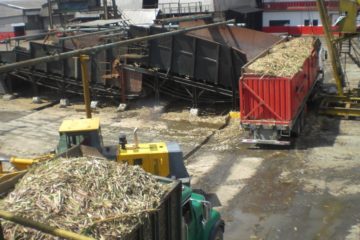 Central Azucarero Santa Clara reinicia operaciones: Puede refinar 200.000 toneladas de az&uacute;car al a&ntilde;o