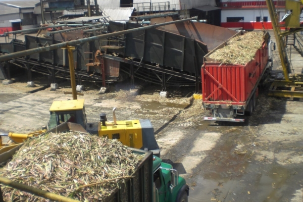 Central Azucarero Santa Clara reinicia operaciones: Puede refinar 200.000 toneladas de az&uacute;car al a&ntilde;o