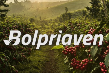 Inversionistas nacionales y for&aacute;neos encuentran en Bolpriaven la instituci&oacute;n ideal para proteger su inversi&oacute;n