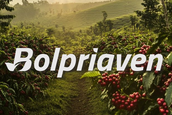 Inversionistas nacionales y for&aacute;neos encuentran en Bolpriaven la instituci&oacute;n ideal para proteger su inversi&oacute;n