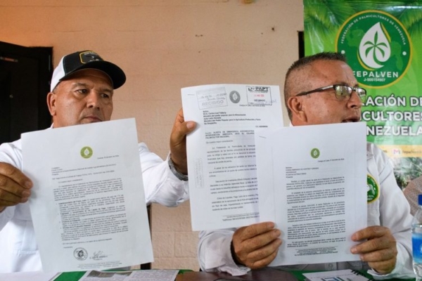 Palmicultores de Venezuela exigen pagos, aumentar producci&oacute;n y nuevos acuerdos con Gobierno ante posible paralizaci&oacute;n nacional