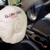 &iquest;Afecta el cambio de bolsa de aire tu veh&iacute;culo? La respuesta definitiva para due&ntilde;os de Toyota