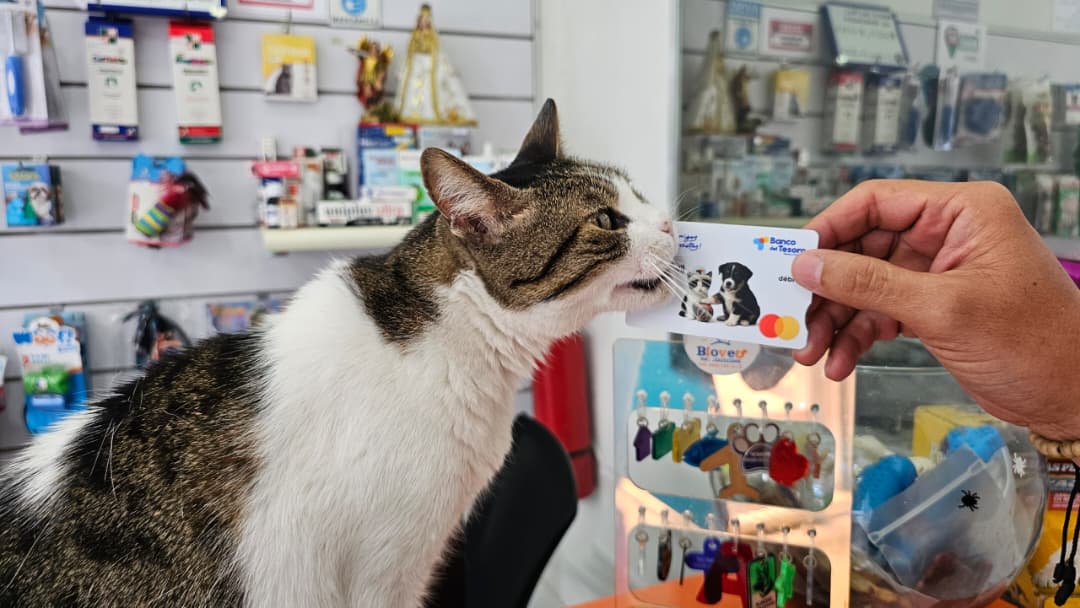 El Banco del Tesoro lanza nueva Master Debit Amigos de las Mascotas
