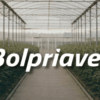 Bolpriaven promueve programa de formaci&oacute;n especializada en el mercado de valores agr&iacute;cola venezolano