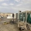 M&aacute;s de 150 migrantes repatriados llegaron a Venezuela desde EEUU