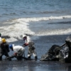 Empresarios en Sucre solicitan que derrame petrolero sea tratado como emergencia transfronteriza