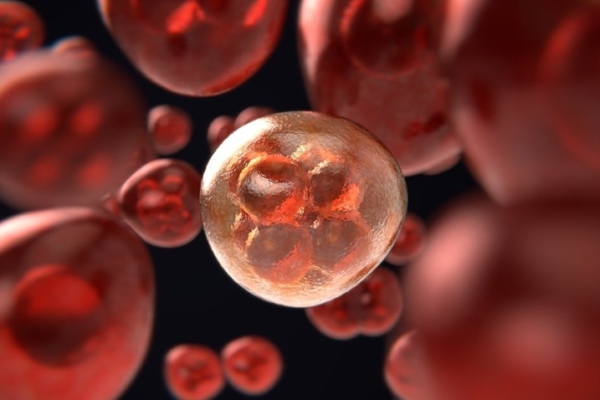 Estudios indican que f&aacute;rmacos GLP-1 tienden a reducir riesgo de progresi&oacute;n del c&aacute;ncer